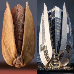 هوش مصنوعی در آموزش طراحی معماری